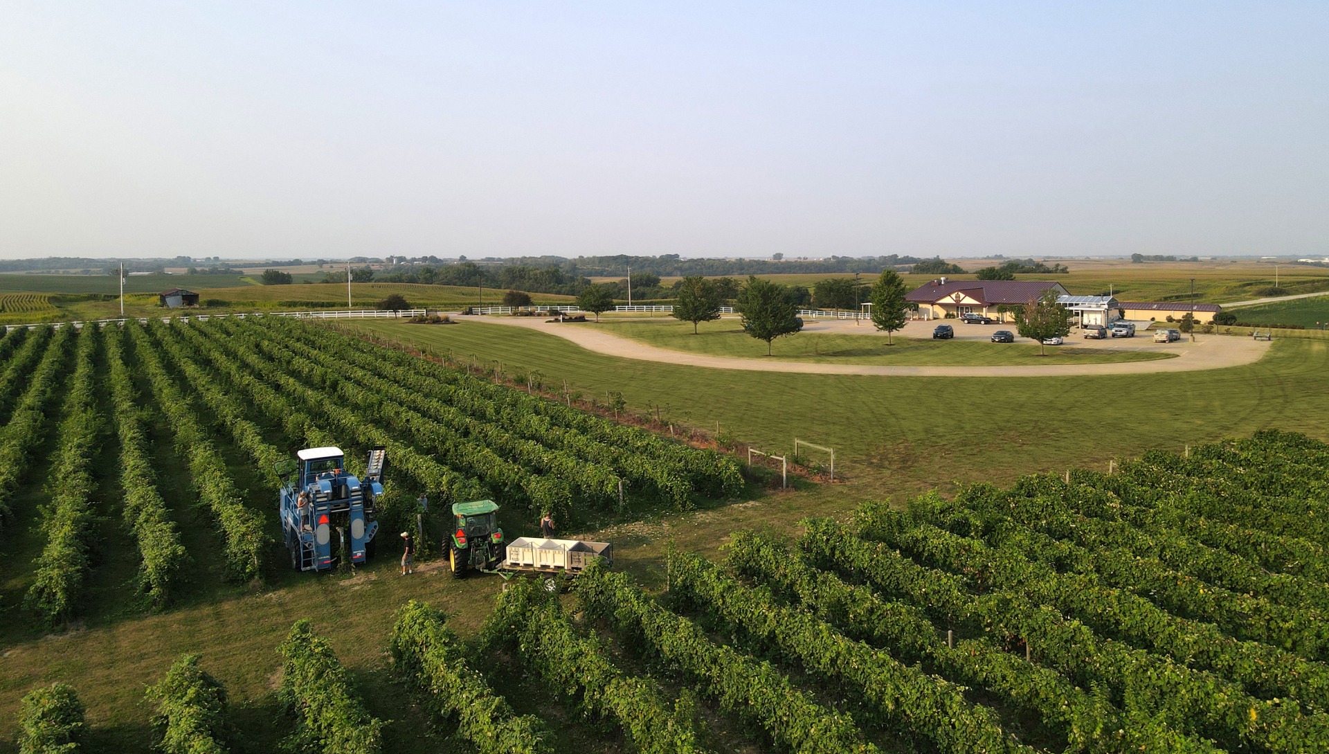 A Wine Tour of Iowa South Iowa South